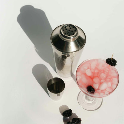 Stainless Steel Cocktail Shaker Set