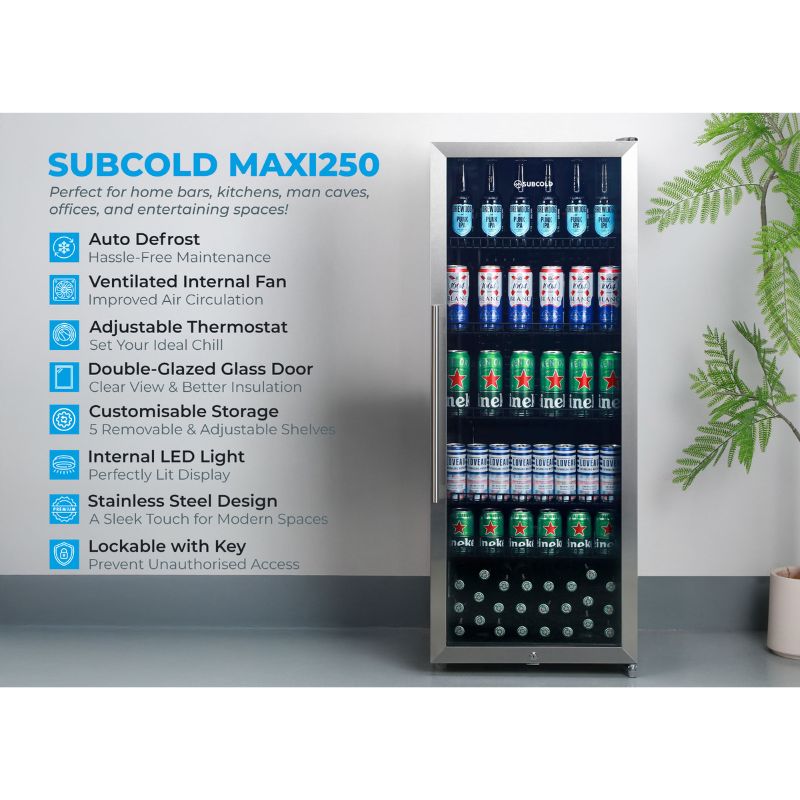 Maxi 250 Tall LED Drinks Fridge - Stainless Steel