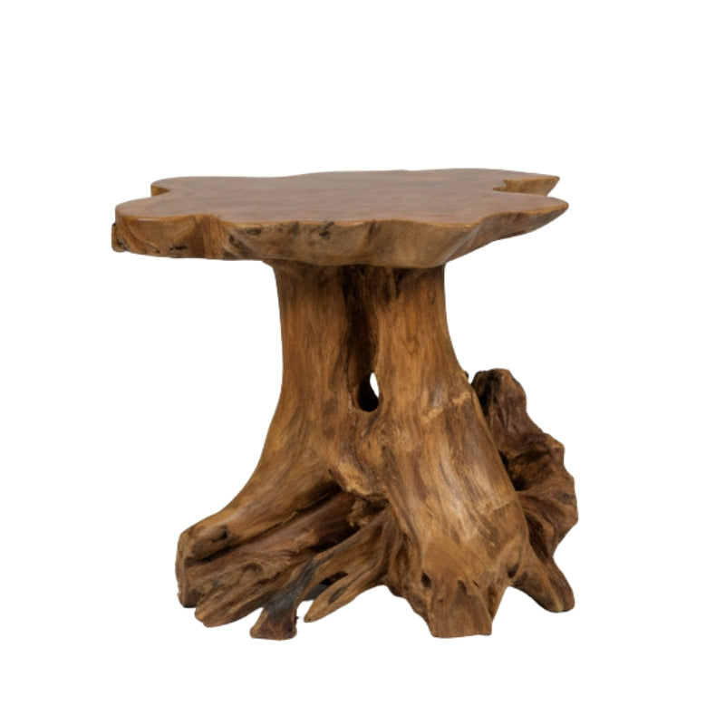 Teak Root Side Table – Rustic Toadstool, One of a Kind