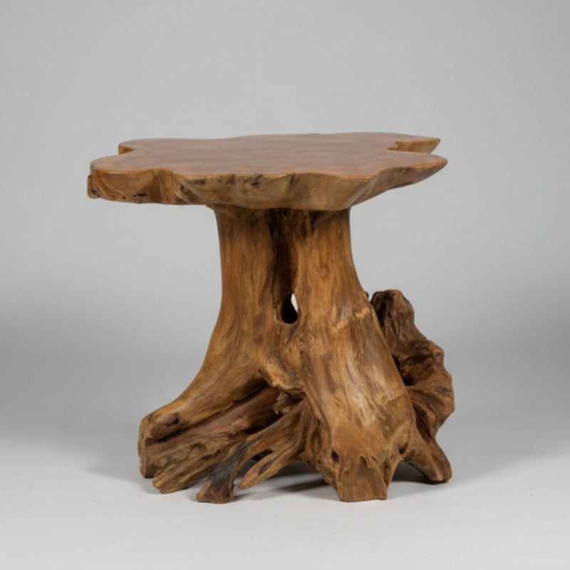 Teak Root Side Table – Rustic Toadstool, One of a Kind