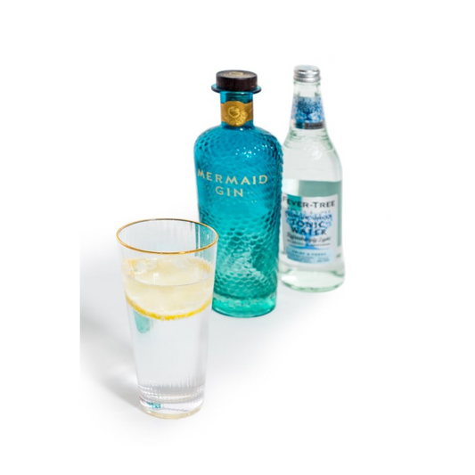 Set of 6 Traditional Highball Glass Tumblers with Gold Rims