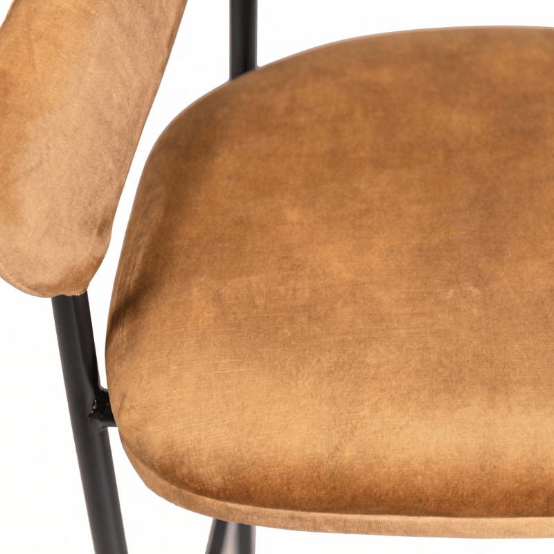 Bar Stools Bloomsbury Velvet Bar & Counter Stool Range