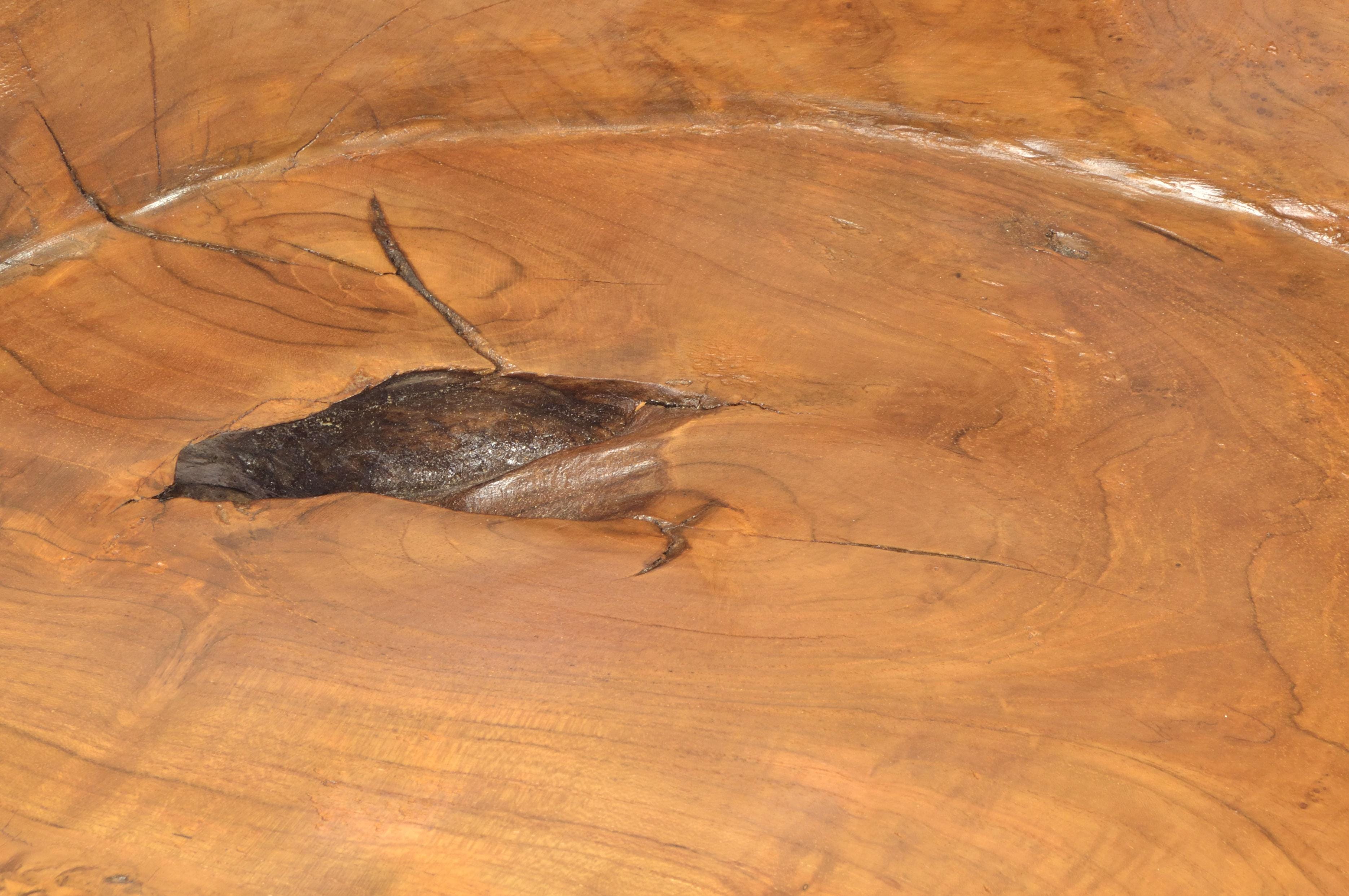 Chair Teak Root Chair