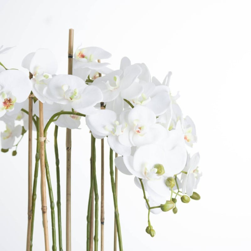 Glass Pot Large White Orchid In Glass Pot