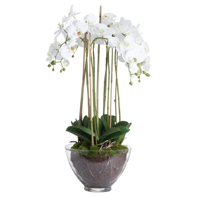 Glass Pot Large White Orchid In Glass Pot