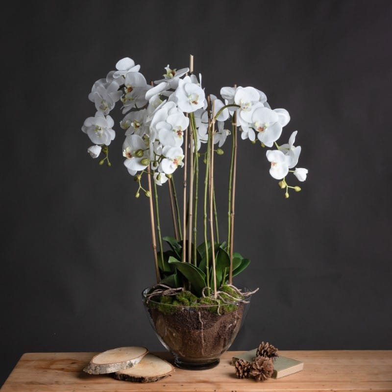 Glass Pot Large White Orchid In Glass Pot