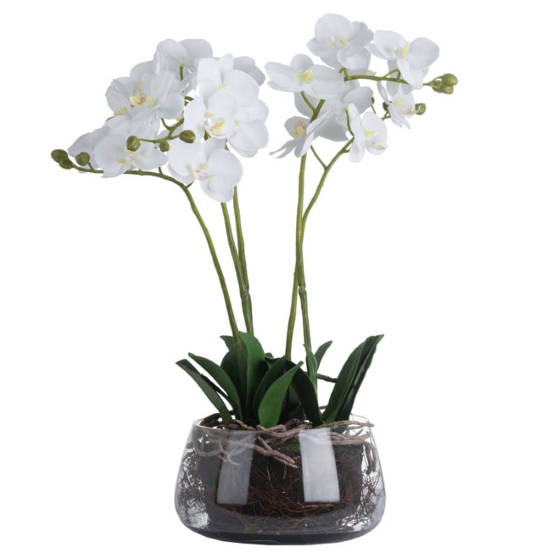 Glass Pot White Orchid In Glass Pot