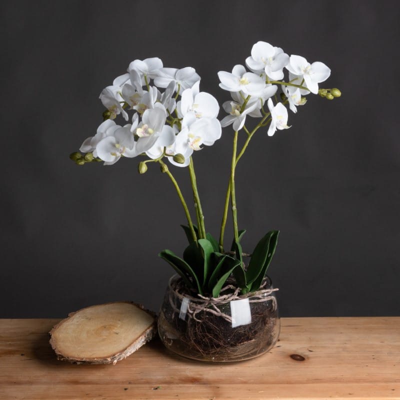 Glass Pot White Orchid In Glass Pot