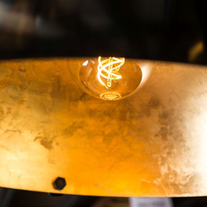 Ursa Adjustable Pendant Light