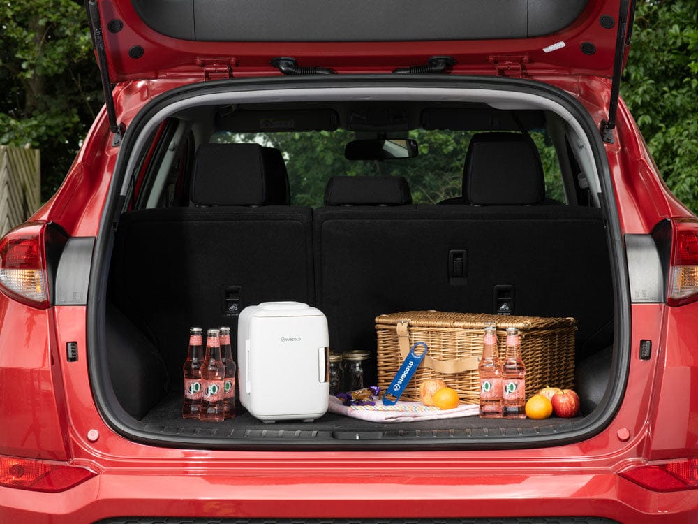 Mini Fridge Subcold Classic 4L Mini Fridge