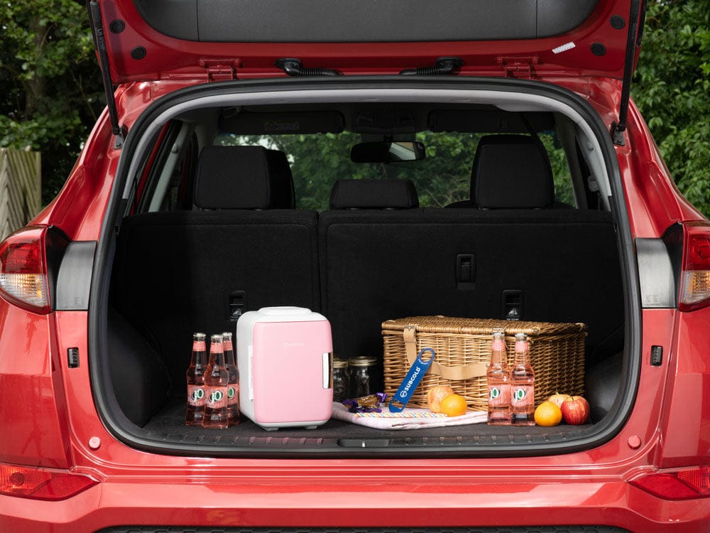 Mini Fridge Subcold Classic 4L Mini Fridge