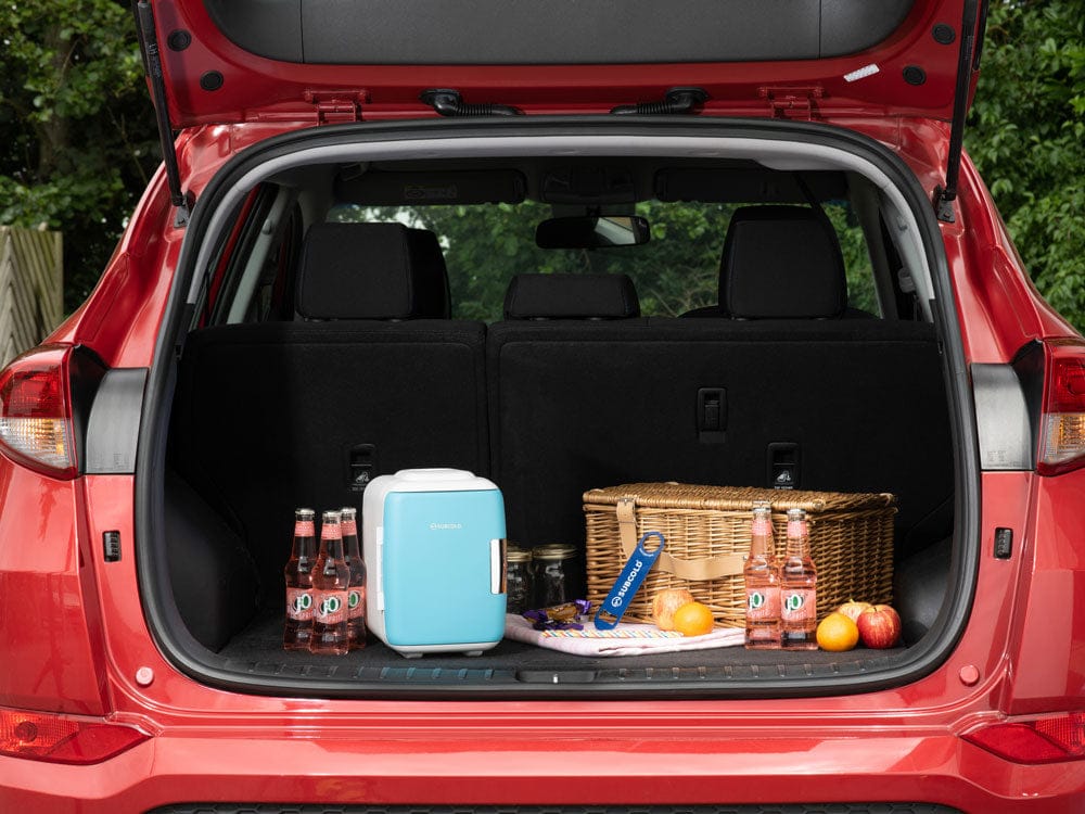 Mini Fridge Subcold Classic 4L Mini Fridge