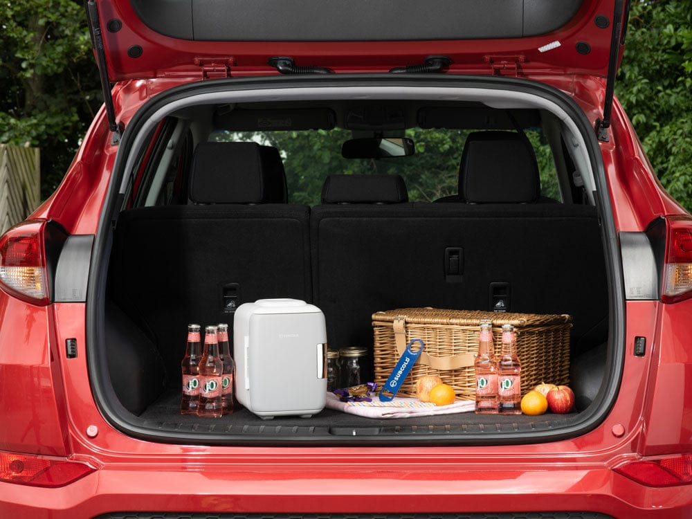 Mini Fridge Subcold Classic 4L Mini Fridge