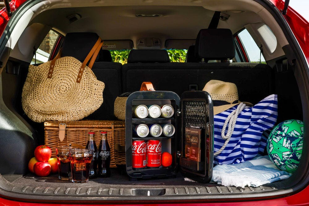 Mini Fridge Subcold Pro 10L Mini Fridge