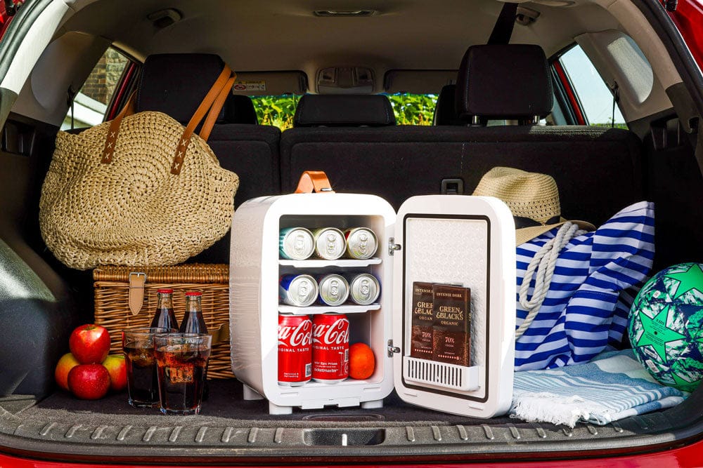 Mini Fridge Subcold Pro 10L Mini Fridge