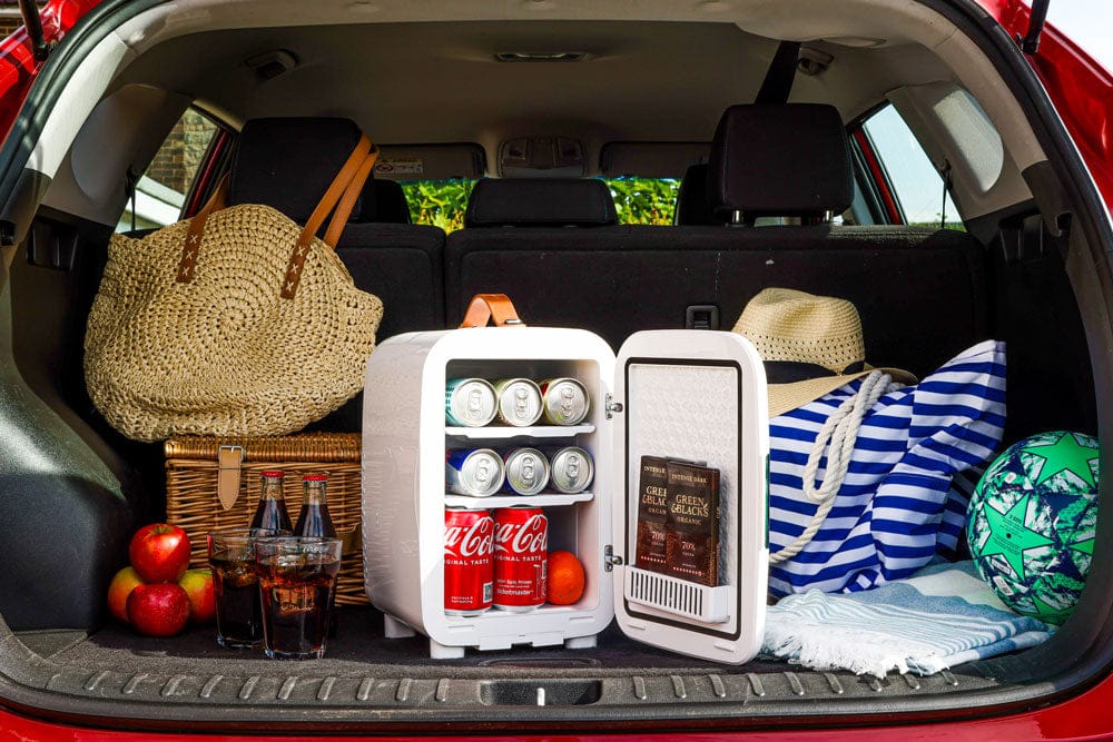 Mini Fridge Subcold Pro 10L Mini Fridge