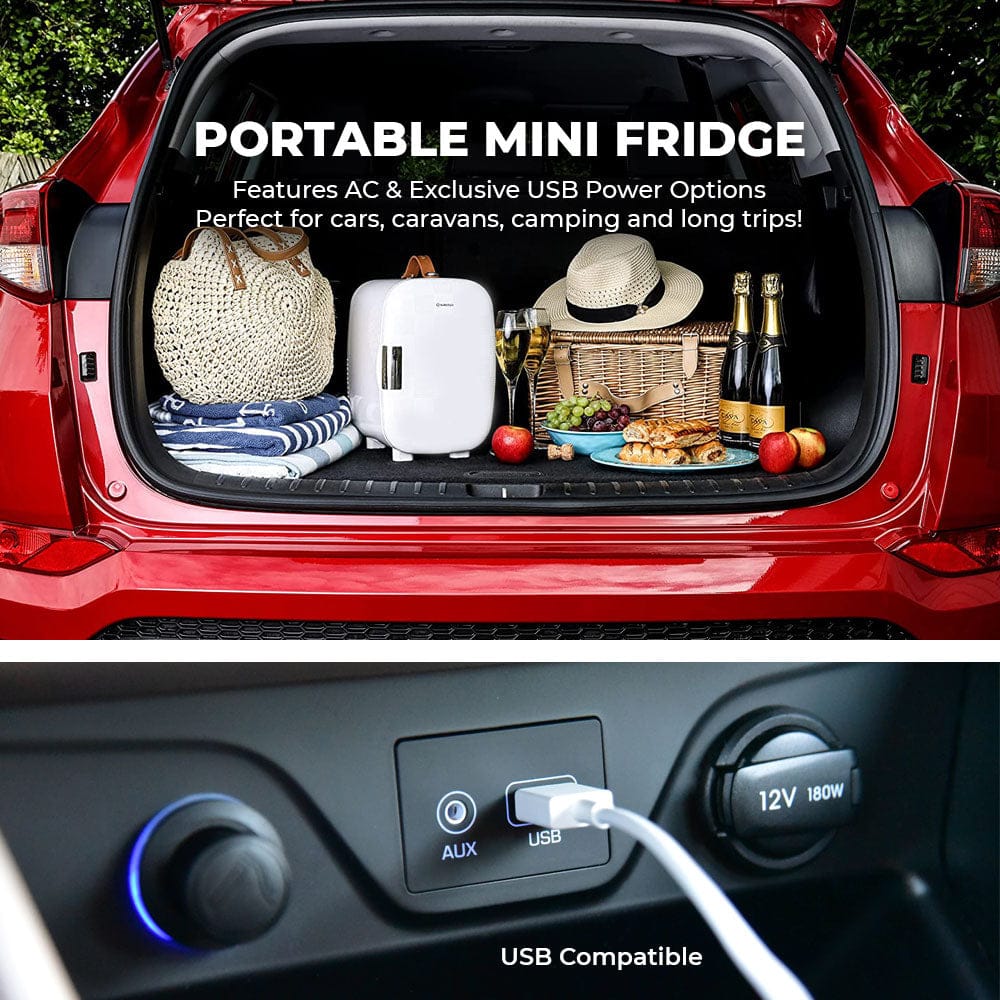 Mini Fridge Subcold Pro 4L Mini Fridge