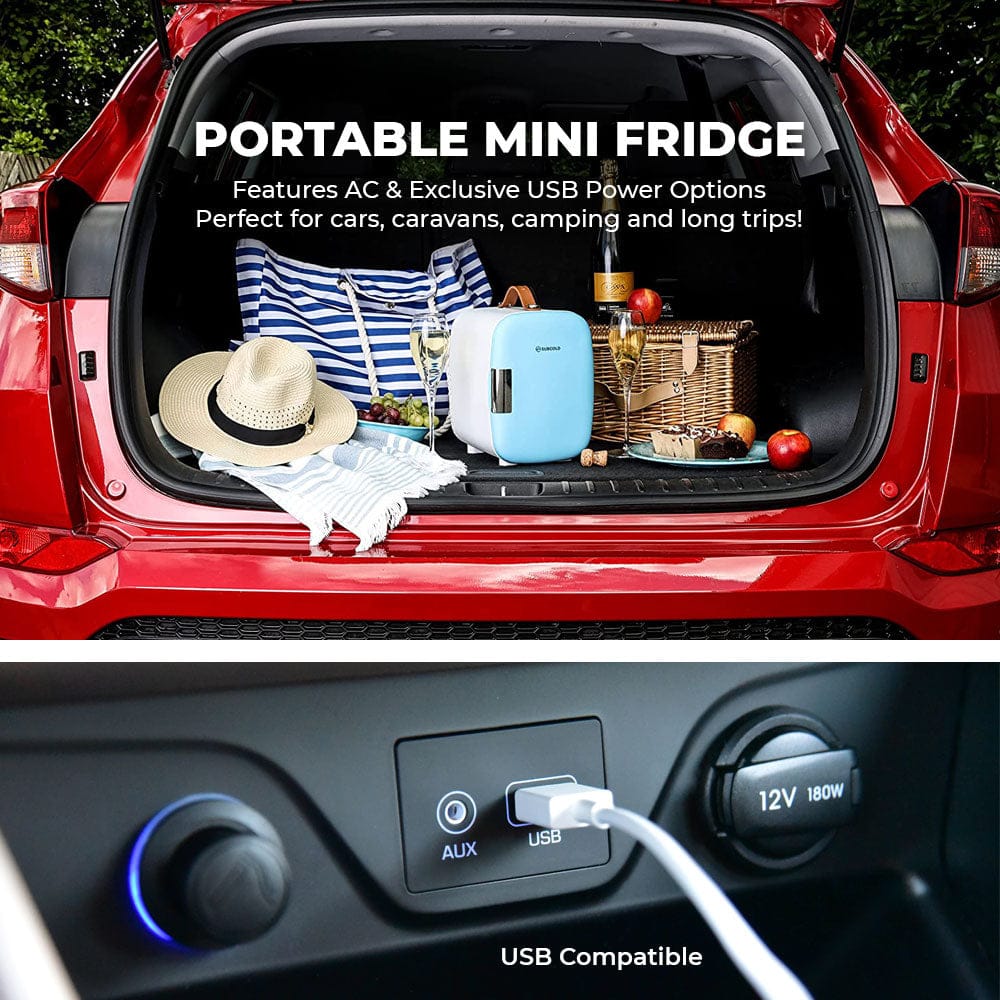 Mini Fridge Subcold Pro 4L Mini Fridge