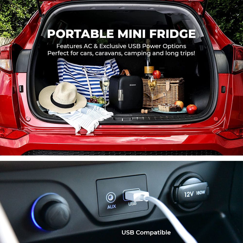 Mini Fridge Subcold Pro 4L Mini Fridge