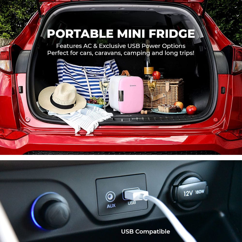 Mini Fridge Subcold Pro 4L Mini Fridge