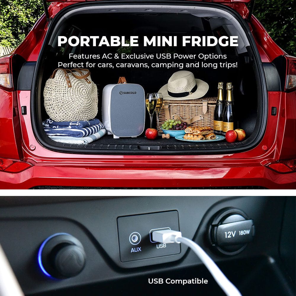 Mini Fridge Subcold Pro 6L Mini Fridge