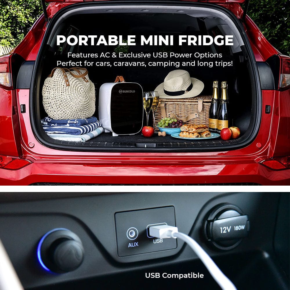 Mini Fridge Subcold Pro 6L Mini Fridge