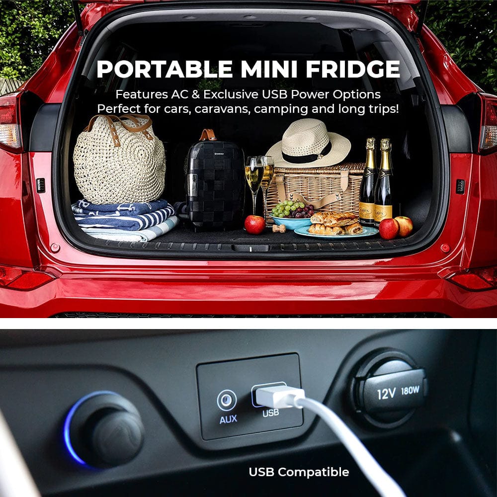 Mini Fridge Subcold Pro 6L Mini Fridge