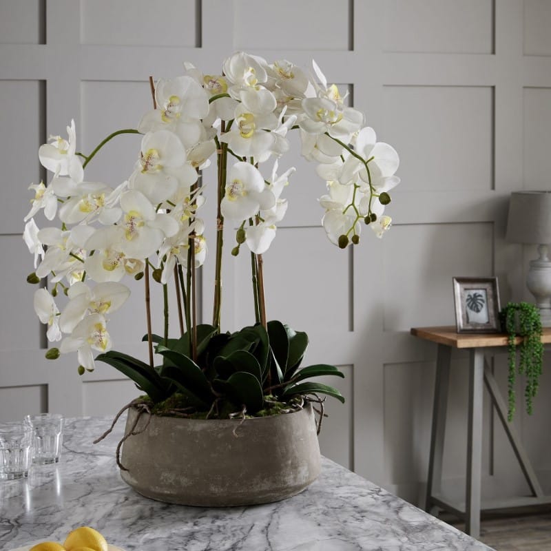 Stone Pot Large White Orchid In Stone Pot