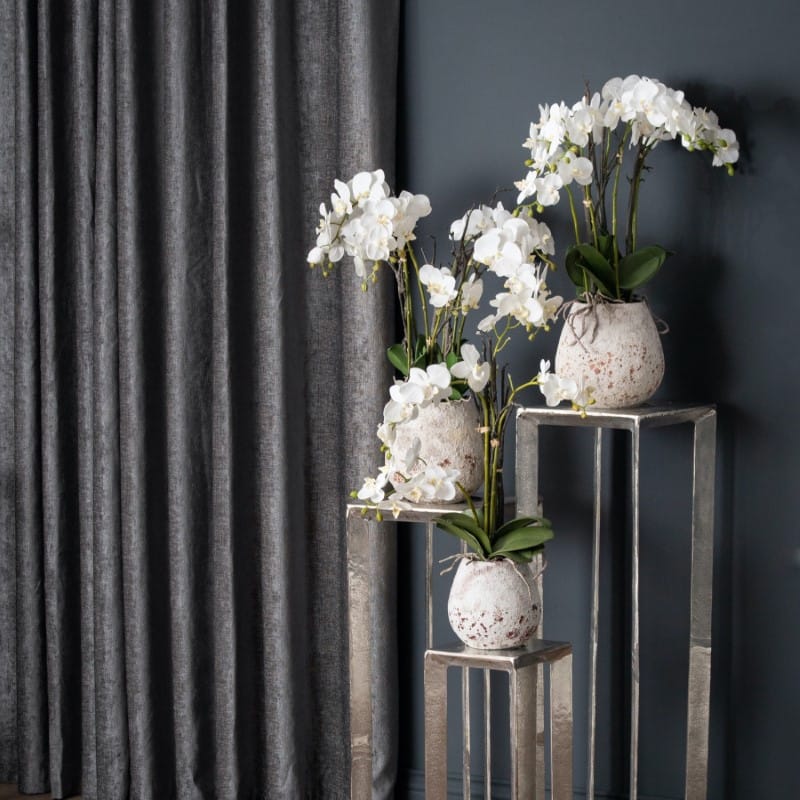 Stone Pot White Orchid In Stone Pot
